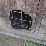 P9020387